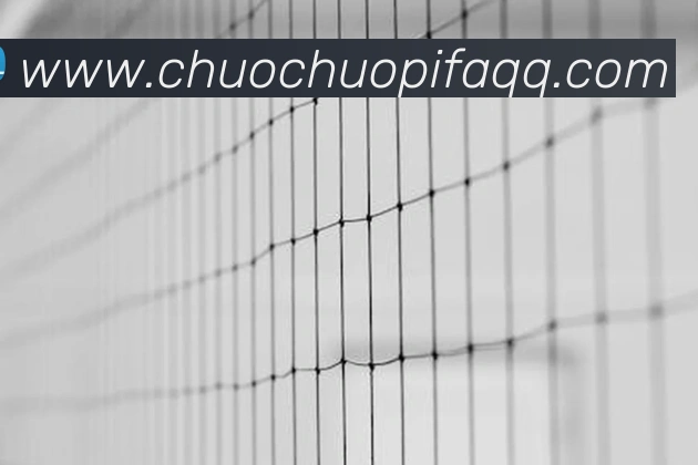 App 展示图